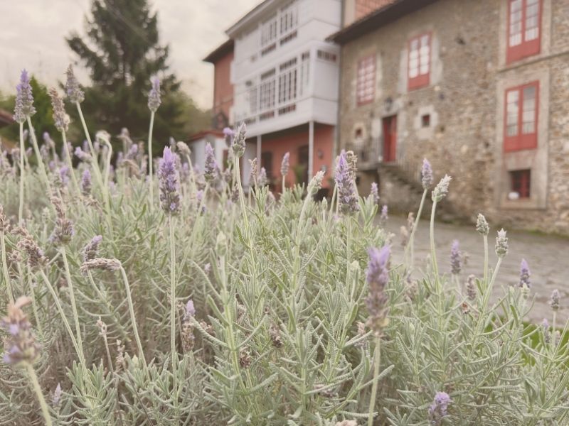 Hotel rural Palacio de Libardón